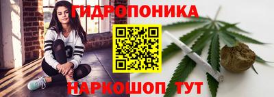 индика Коломна