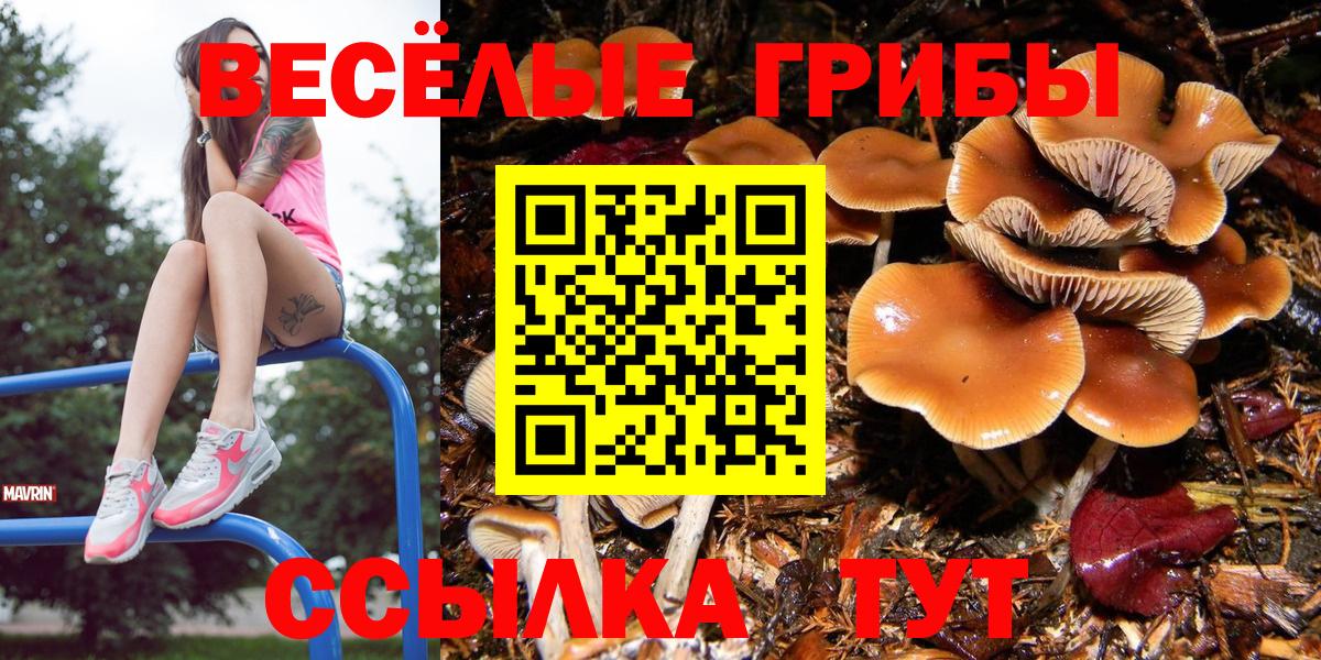 Галлюциногенные грибы ЛСД Добрянка