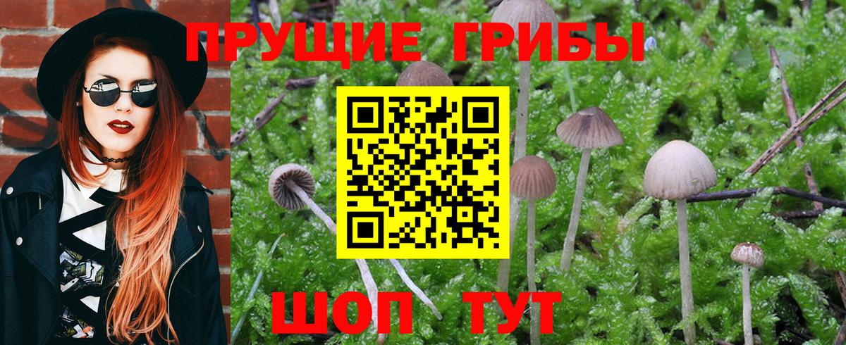 Галлюциногенные грибы Psilocybine cubensis  Вход с VPN  Галлюциногенные грибы Magic Shrooms  где можно купить   Добрянка 